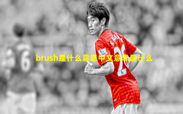 brush是什么意思中文意思是什么
