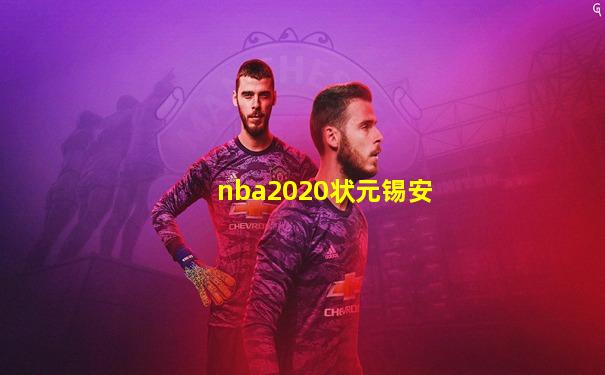 nba2020状元锡安