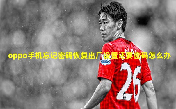oppo手机忘记密码恢复出厂设置还要密码怎么办
