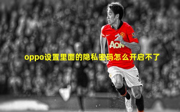 oppo设置里面的隐私密码怎么开启不了