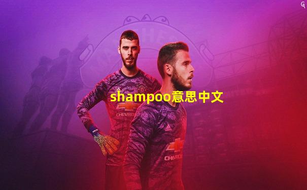 shampoo意思中文