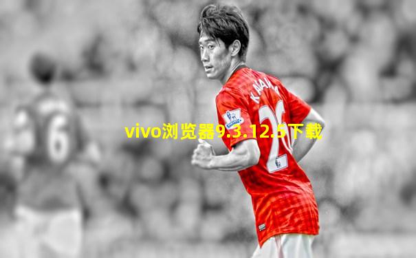 vivo浏览器9.3.12.5下载