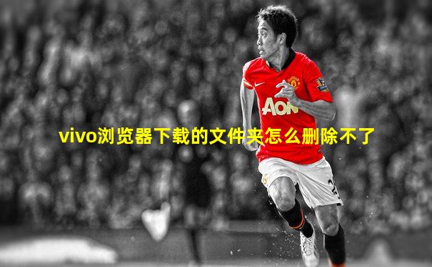vivo浏览器下载的文件夹怎么删除不了