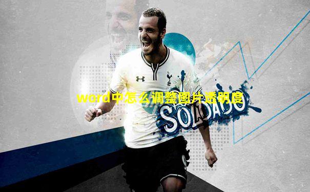 word中怎么调整图片透明度