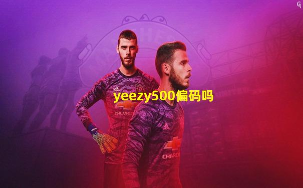 yeezy500偏码吗