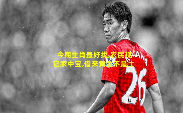 今期生肖最好找,农民视它家中宝,借来黄金不是土