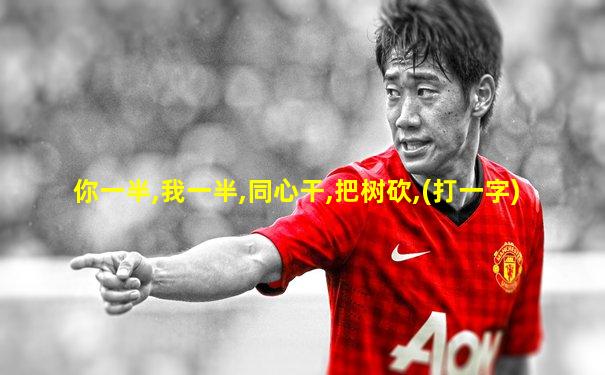 你一半,我一半,同心干,把树砍,(打一字)