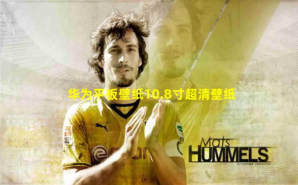 华为平板壁纸10.8寸超清壁纸