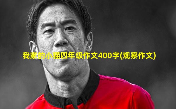 我家的小猫四年级作文400字(观察作文)