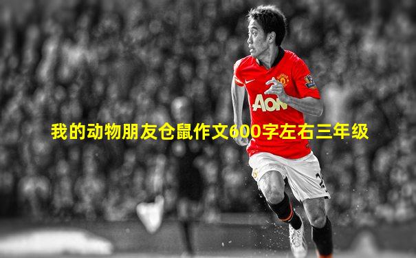 我的动物朋友仓鼠作文600字左右三年级