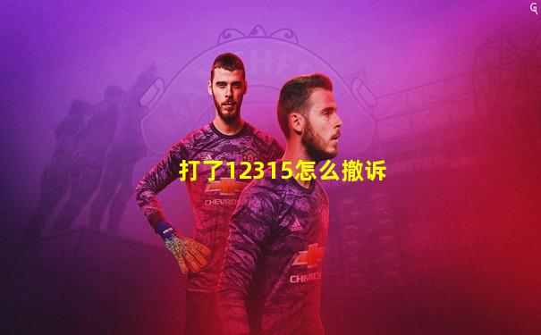 打了12315怎么撤诉