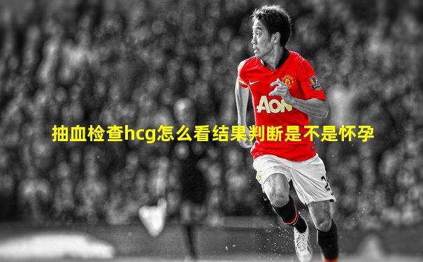抽血检查hcg怎么看结果判断是不是怀孕