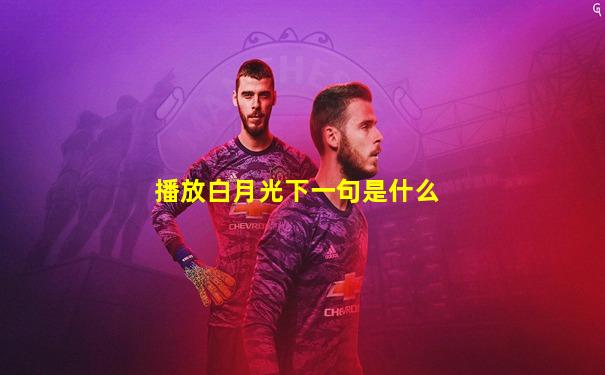 播放白月光下一句是什么