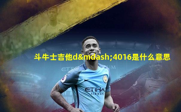 斗牛士吉他d—4016是什么意思