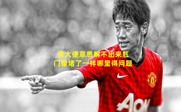 有大便意思解不出来肛门像堵了一样哪里得问题