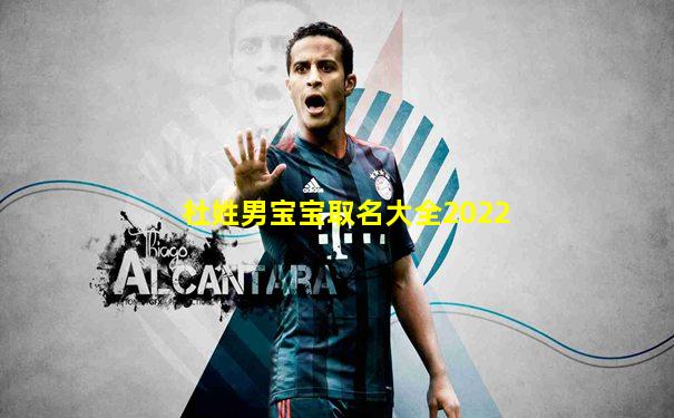 杜姓男宝宝取名大全2022