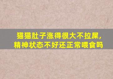 猫猫肚子涨得很大不拉屎,精神状态不好还正常喂食吗