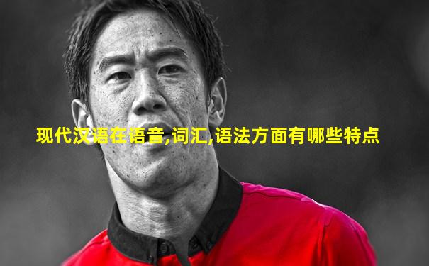 现代汉语在语音,词汇,语法方面有哪些特点