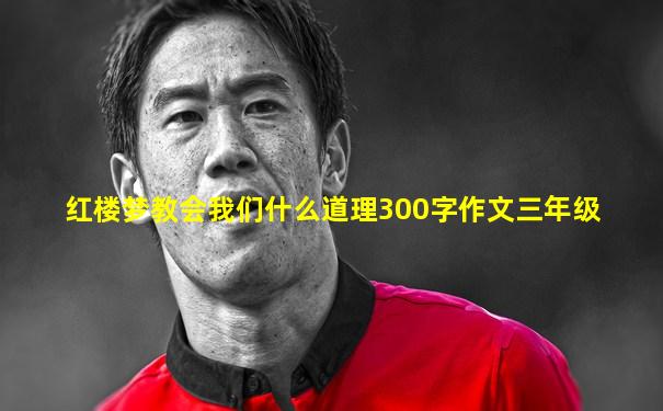 红楼梦教会我们什么道理300字作文三年级