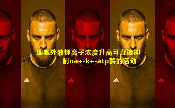 细胞外液钾离子浓度升高可直接抑制na+-k+-atp酶的活动