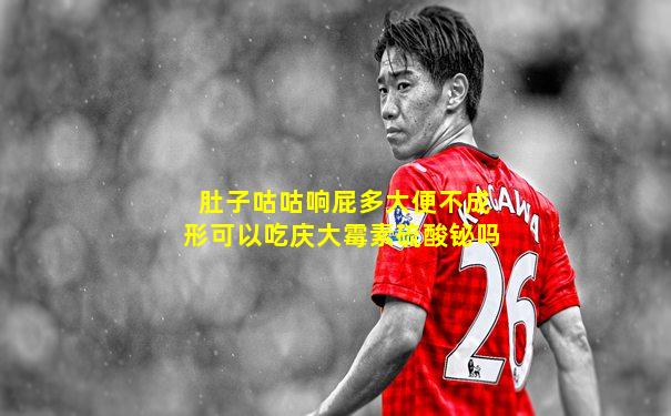 肚子咕咕响屁多大便不成形可以吃庆大霉素硫酸铋吗