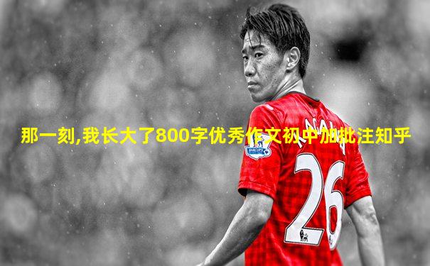 那一刻,我长大了800字优秀作文初中加批注知乎