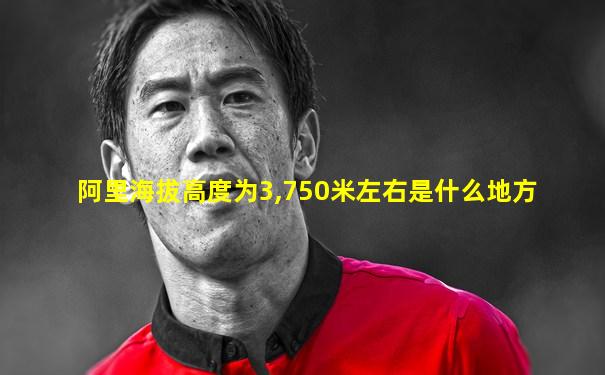 阿里海拔高度为3,750米左右是什么地方