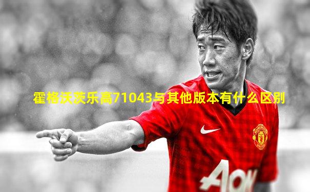 霍格沃茨乐高71043与其他版本有什么区别
