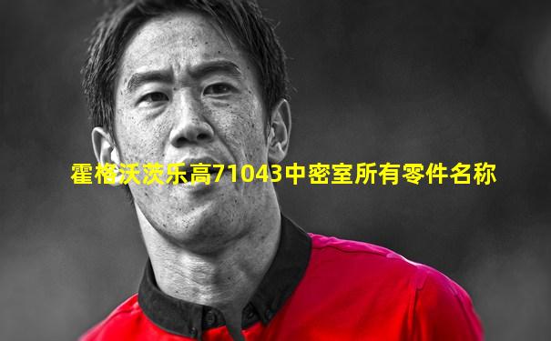 霍格沃茨乐高71043中密室所有零件名称