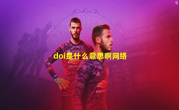 doi是什么意思啊网络