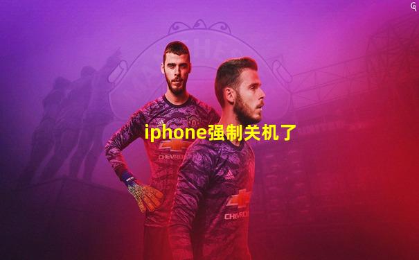 iphone强制关机了