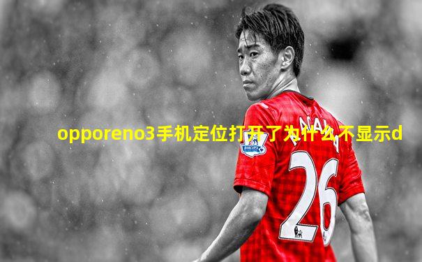 opporeno3手机定位打开了为什么不显示d