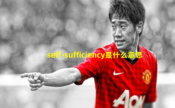 self-sufficiency是什么意思