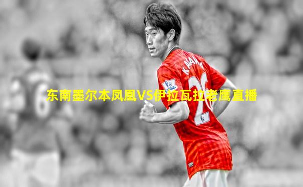 东南墨尔本凤凰VS伊拉瓦拉老鹰直播