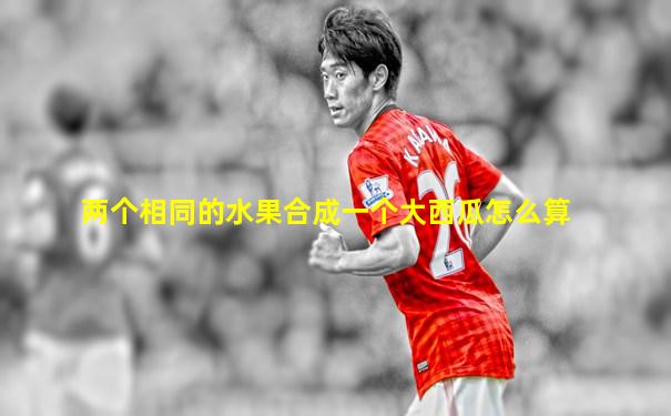 两个相同的水果合成一个大西瓜怎么算