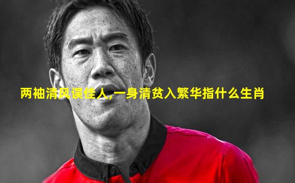 两袖清风误佳人,一身清贫入繁华指什么生肖