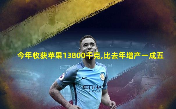今年收获苹果13800千克,比去年增产一成五
