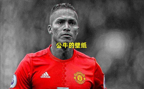 公牛的壁纸