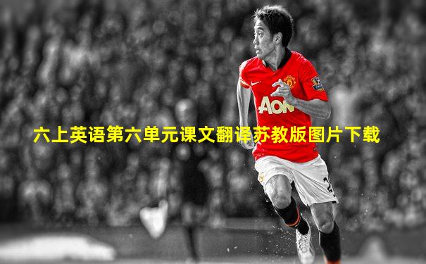 六上英语第六单元课文翻译苏教版图片下载