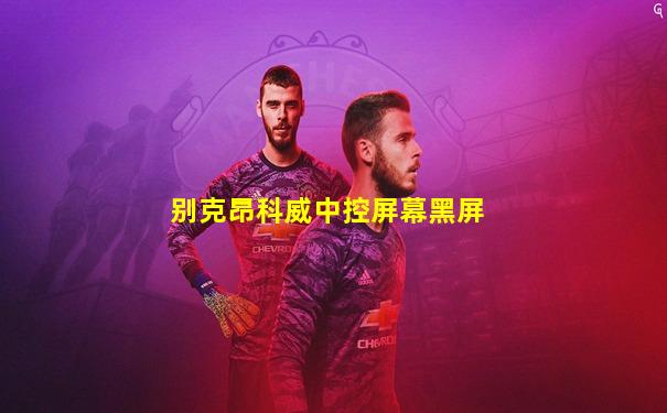 别克昂科威中控屏幕黑屏