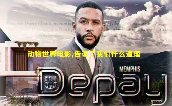 动物世界电影,告诉了我们什么道理