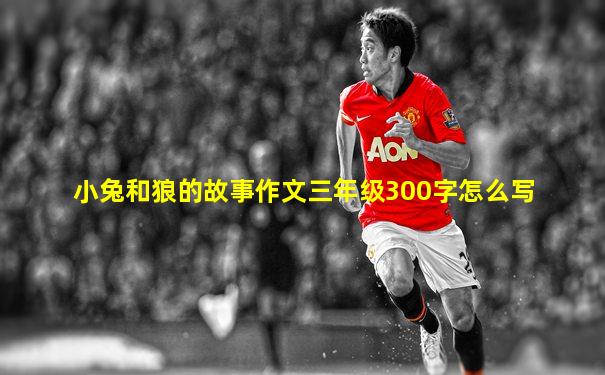 小兔和狼的故事作文三年级300字怎么写