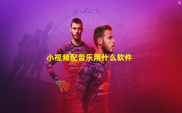 小视频配音乐用什么软件