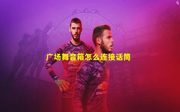 广场舞音箱怎么连接话筒