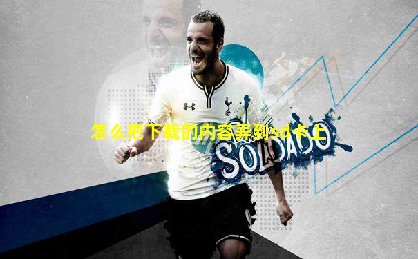 怎么把下载的内容弄到sd卡上