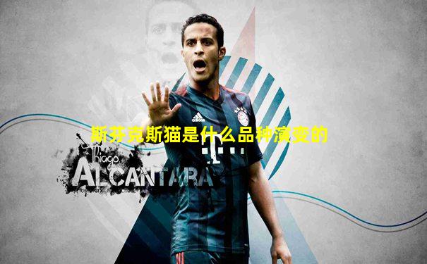 斯芬克斯猫是什么品种演变的