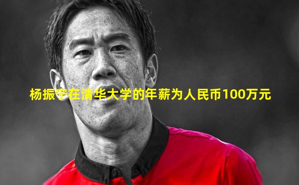 杨振宁在清华大学的年薪为人民币100万元