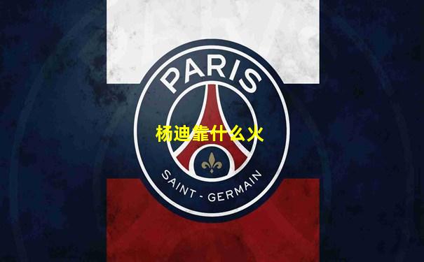 杨迪靠什么火