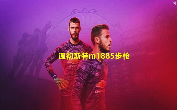 温彻斯特m1885步枪