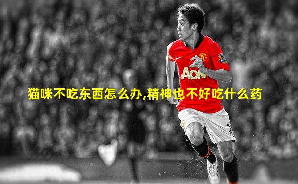 猫咪不吃东西怎么办,精神也不好吃什么药